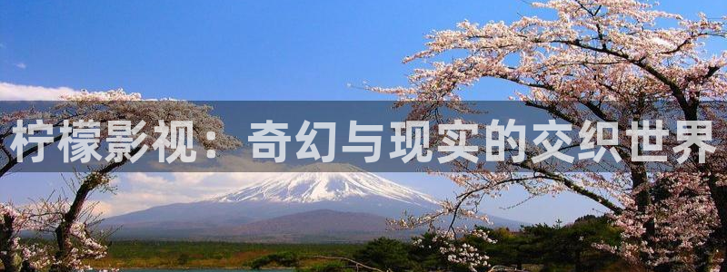 双旗镇刀客免费观看完整版西瓜