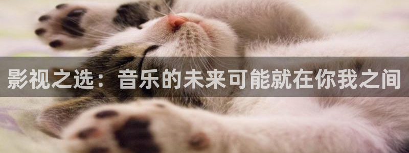 天生一对免费观看完整版西瓜