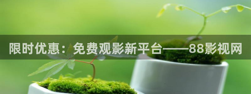 韩国电影夹西瓜