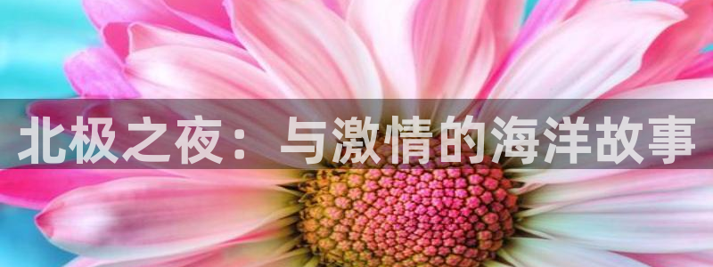 我是大仙尊免费观看西瓜