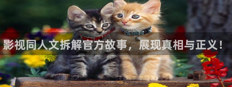 因法之名西瓜免费观看