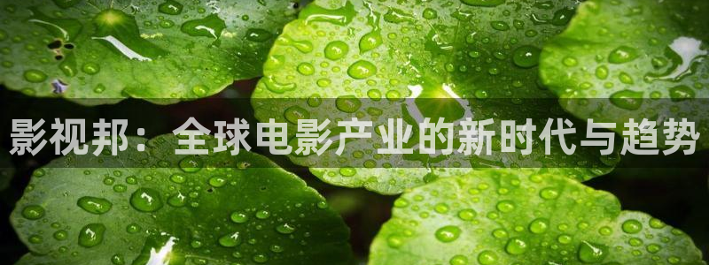 西瓜游戏下载