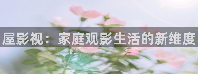 飘雪电影西瓜
