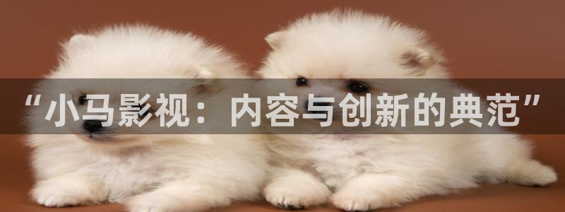 寻秦记电影版免费观看西瓜