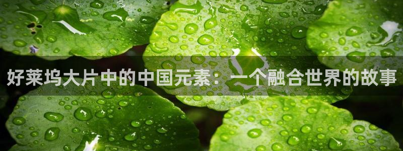 了不起的儿科医生免费观看西瓜