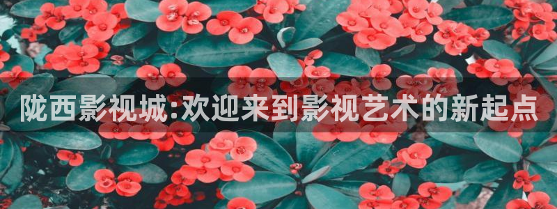 闯关东免费高清在线观看西瓜