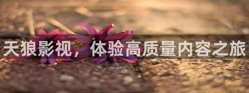 下载免费西瓜视频：天狼影视，体验高质量内容之旅