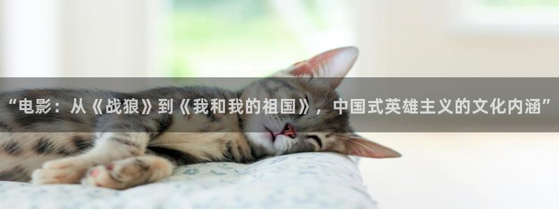 西瓜影院2021最新电影电视剧：“电影：从《战狼》到《我和我的祖国》，中国式英雄主义的文化内涵”