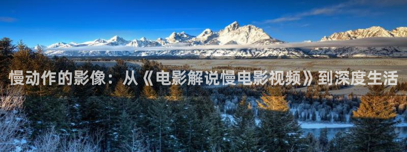 西瓜视电视剧：慢动作的影像：从《电影解说慢电影视频》到深度生活