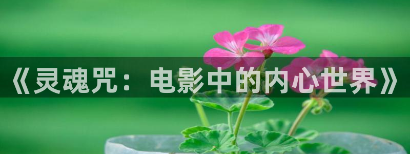 西瓜论理电影网：《灵魂咒：电影中的内心世界》