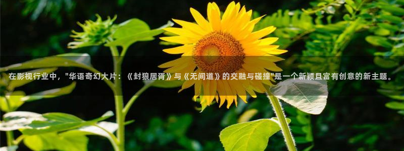 天狼影院西瓜影院：在影视行业中，\