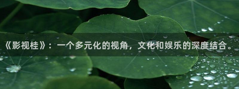 电影完整版免费观看西瓜