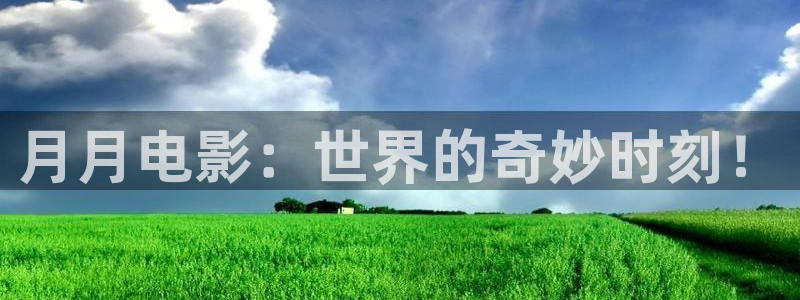 西瓜大兴区