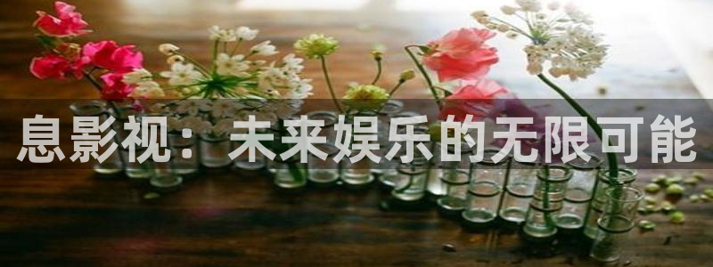 我曾记得那男孩免费观看西瓜影院