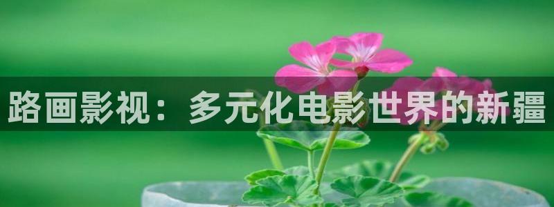 西瓜高清在线观看