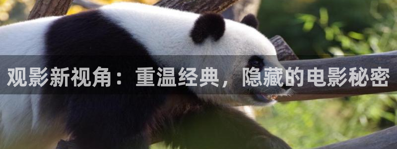 武清西瓜