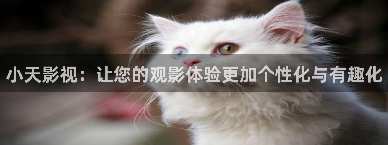 我们的2018在线观看免费西瓜