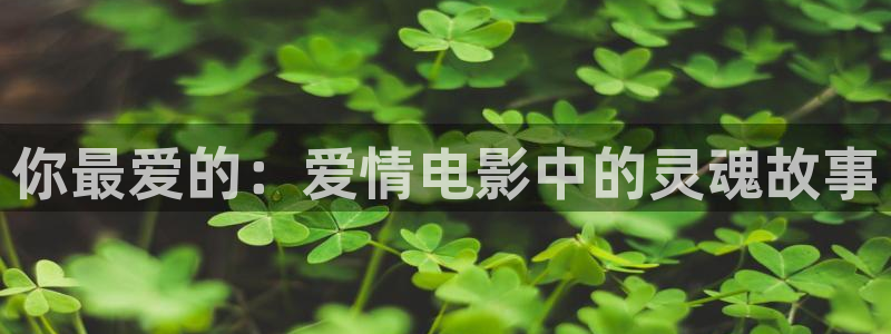 免费西瓜电影