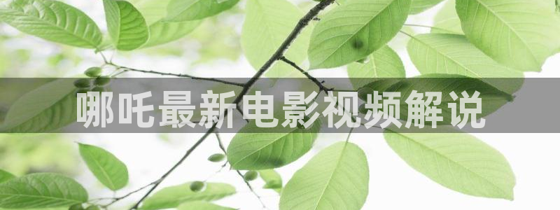 长乐曲电视剧西瓜影院