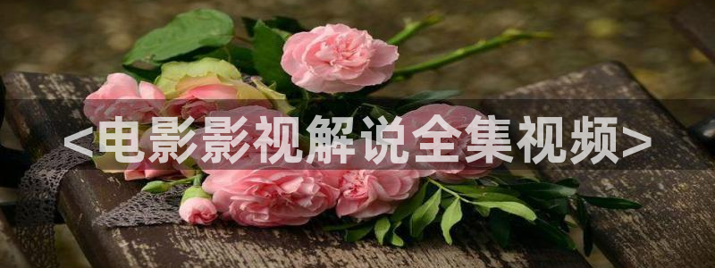 西瓜影院理论片在线观看