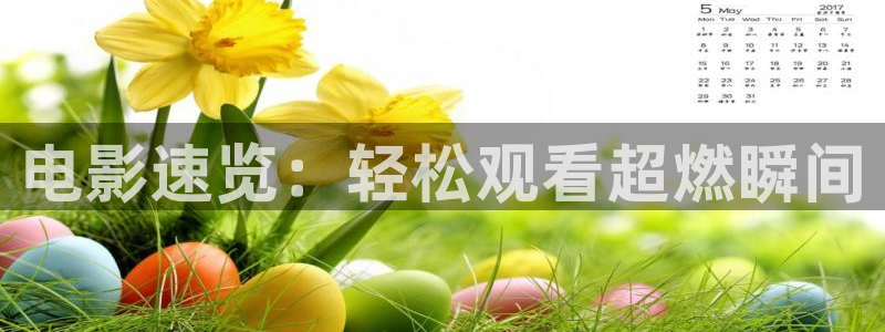 新午夜影院西瓜影院：电影速览：轻松观看超燃瞬间