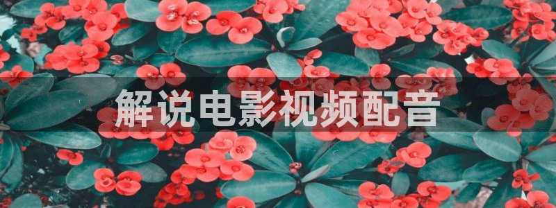 飘雪影视在线观看西瓜动漫免费