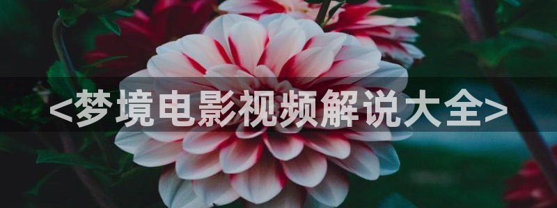 西瓜影院免费观看国产电视剧：<梦境电影视频解说大全>