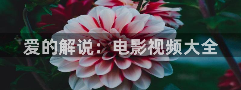 白夜追凶在线观看西瓜：爱的解说：电影视频大全