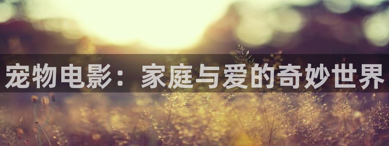 西瓜视频免费下