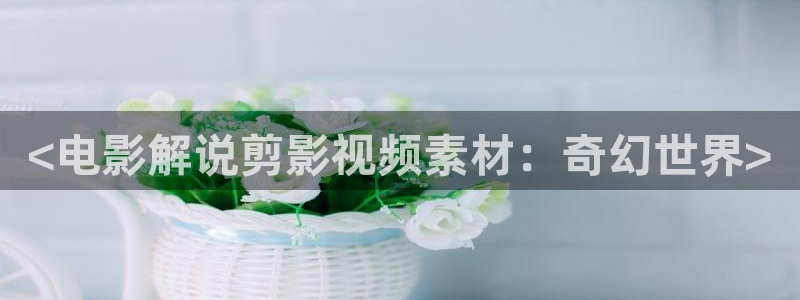 西瓜大庆：<电影解说剪影视频素材：奇幻世界>