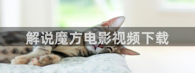 西瓜影院666：解说魔方电影视频下载