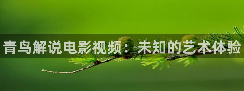 西瓜影院 免费：青鸟解说电影视频：未知的艺术体验