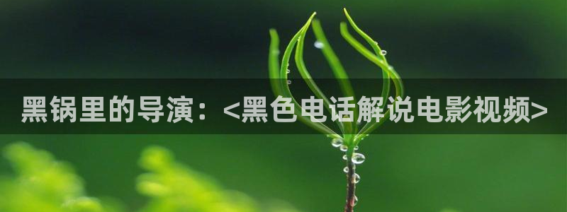 人世间在线观看免费西瓜：黑锅里的导演：<黑色电话解说电影视频>