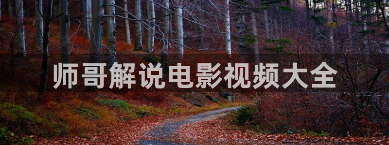 西瓜妹妹免费观看在线高清电视剧：师哥解说电影视频大全