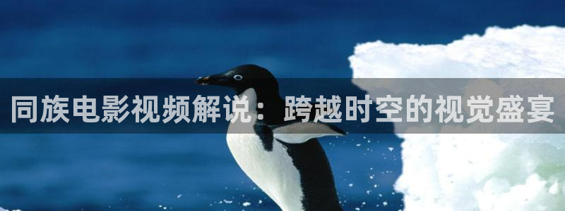 西瓜视频官方：同族电影视频解说：跨越时空的视觉盛宴