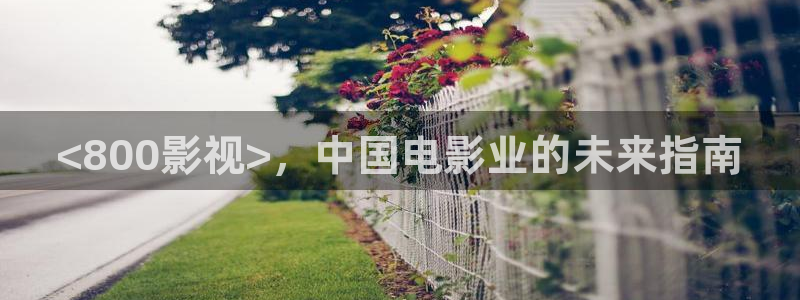 西瓜影院在线伦理：<800影视>，中国电影业的未来指南