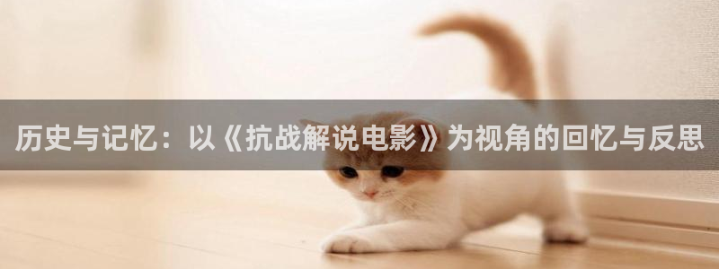 西瓜影院免费观影：历史与记忆：以《抗战解说电影》为视角的回忆与反思
