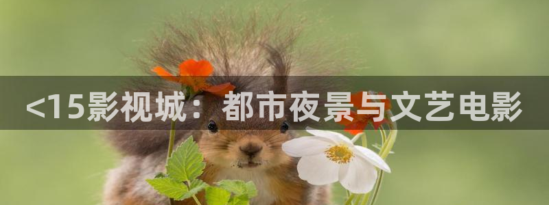 天天有喜在线全集免费西瓜：<15影视城：都市夜景与文艺电影