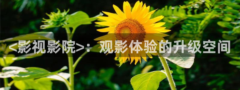 西瓜小视频：<影视影院>：观影体验的升级空间