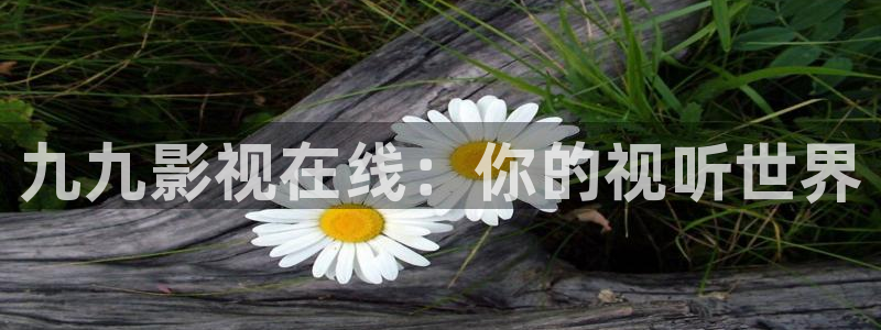 超能勇士第一部国语西瓜影院：九九影视在线：你的视听世界