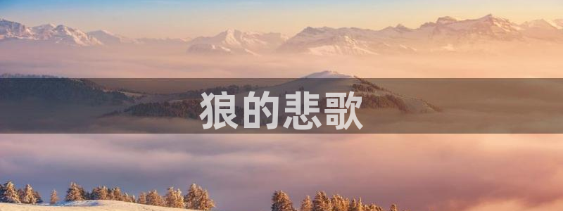 西瓜在线影院免费观看：狼的悲歌