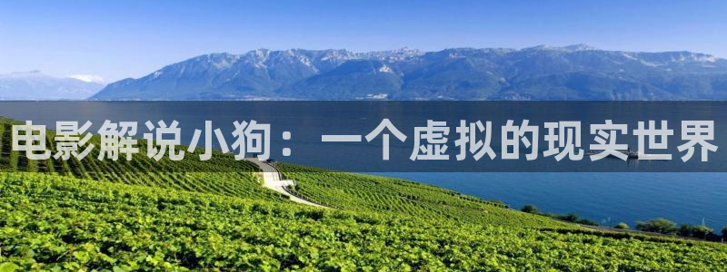 樱花西瓜影院电视剧电影免费观看：电影解说小狗：一个虚拟的现实世界