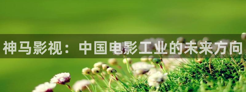 西瓜影院伦理小说：神马影视：中国电影工业的未来方向