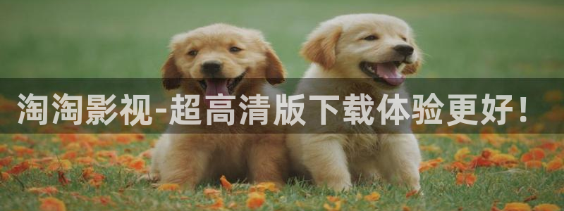 西瓜电影视：淘淘影视-超高清版下载体验更好！