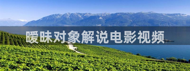 完美关系免费观看西瓜：暧昧对象解说电影视频