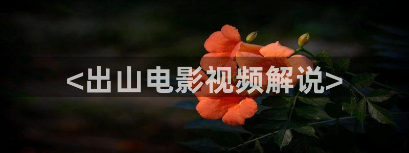 不能没有家免费观看西瓜：<出山电影视频解说>