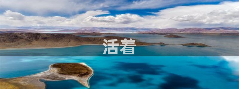 西瓜免费看电影大全：活着