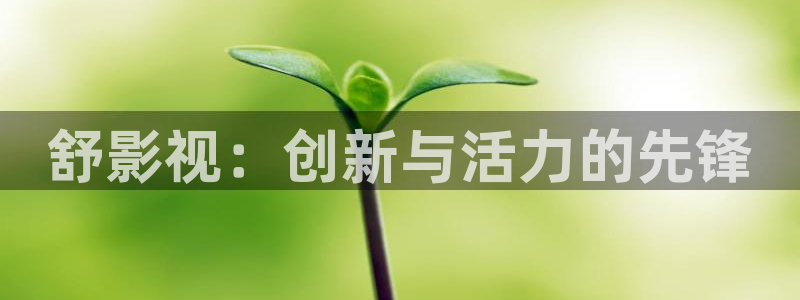 西瓜影院伦理影片：舒影视：创新与活力的先锋