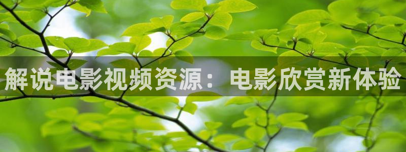 司藤在线观看完整版免费高清西瓜：解说电影视频资源：电影欣赏新体验