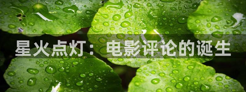 知否在线观看免费观看西瓜：星火点灯：电影评论的诞生
